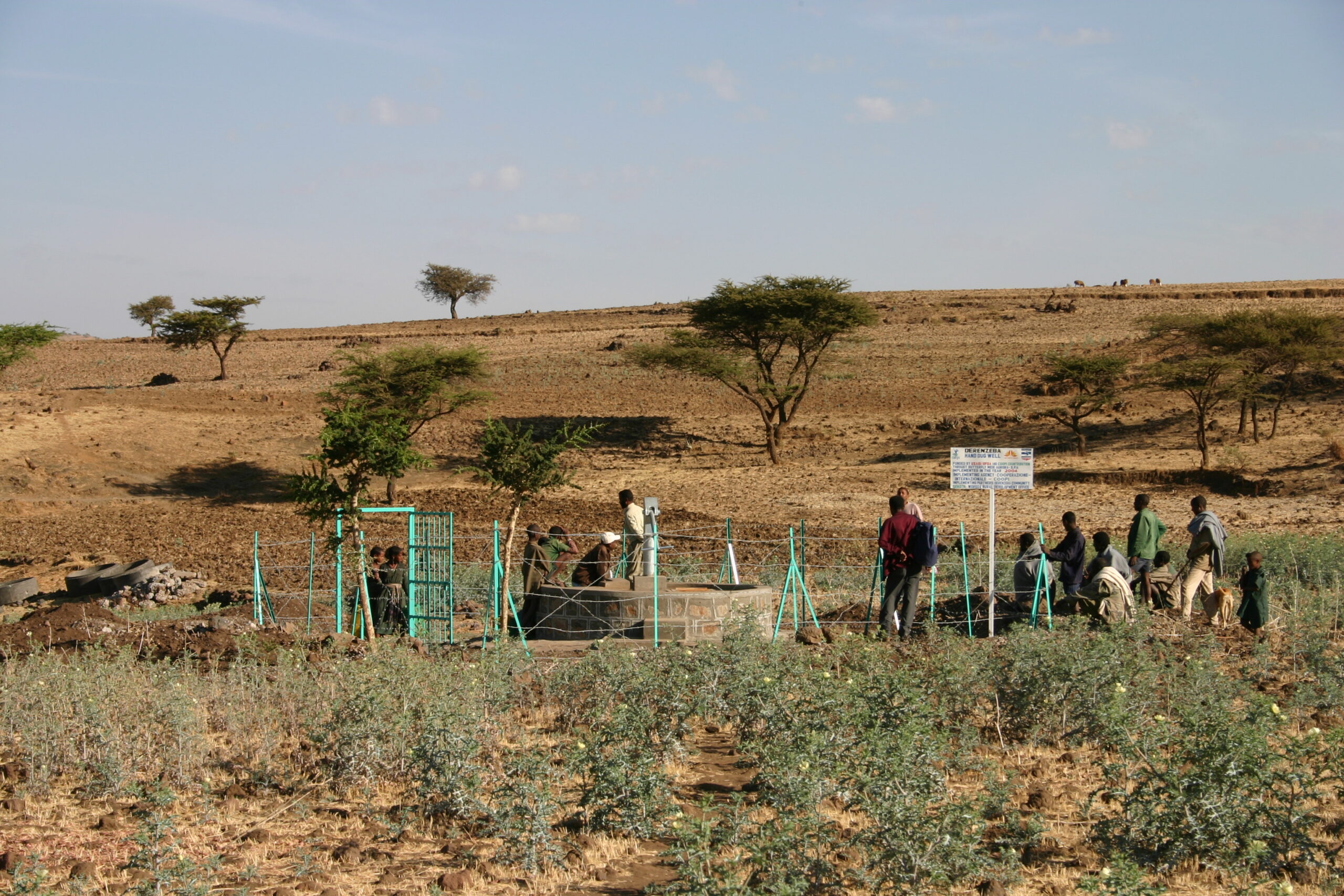 pozzi-in-Oromia-9