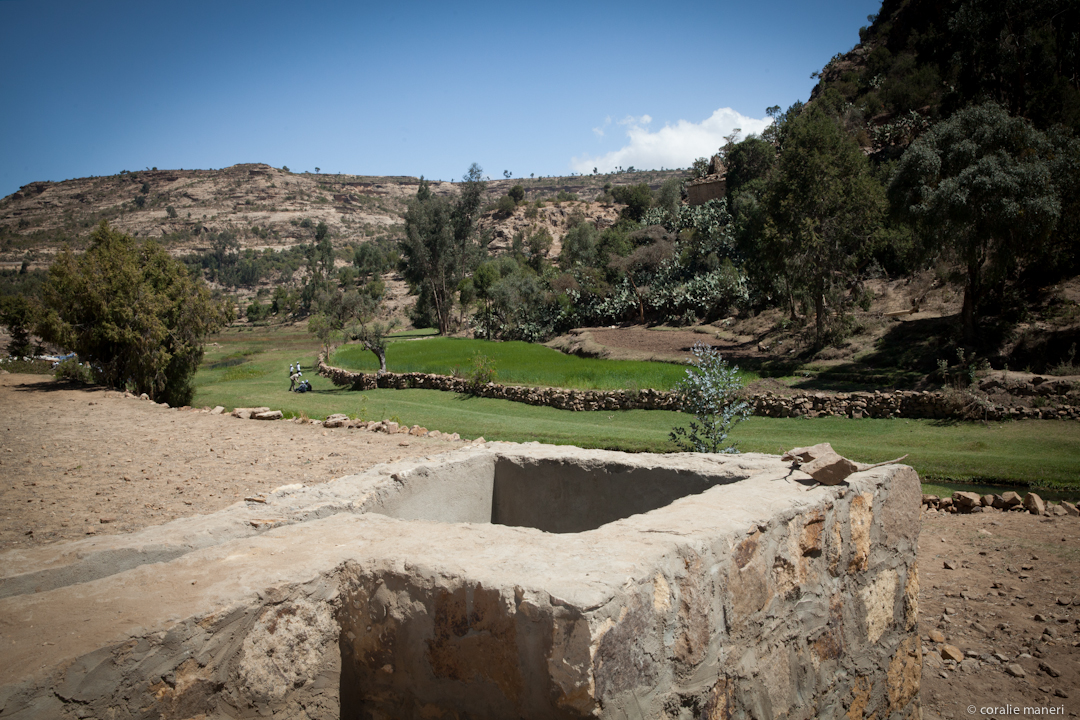 Mayraza (17)