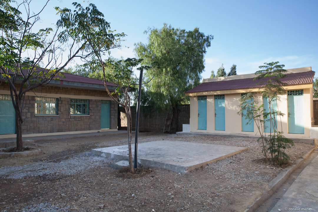asilo-LAICHI-1