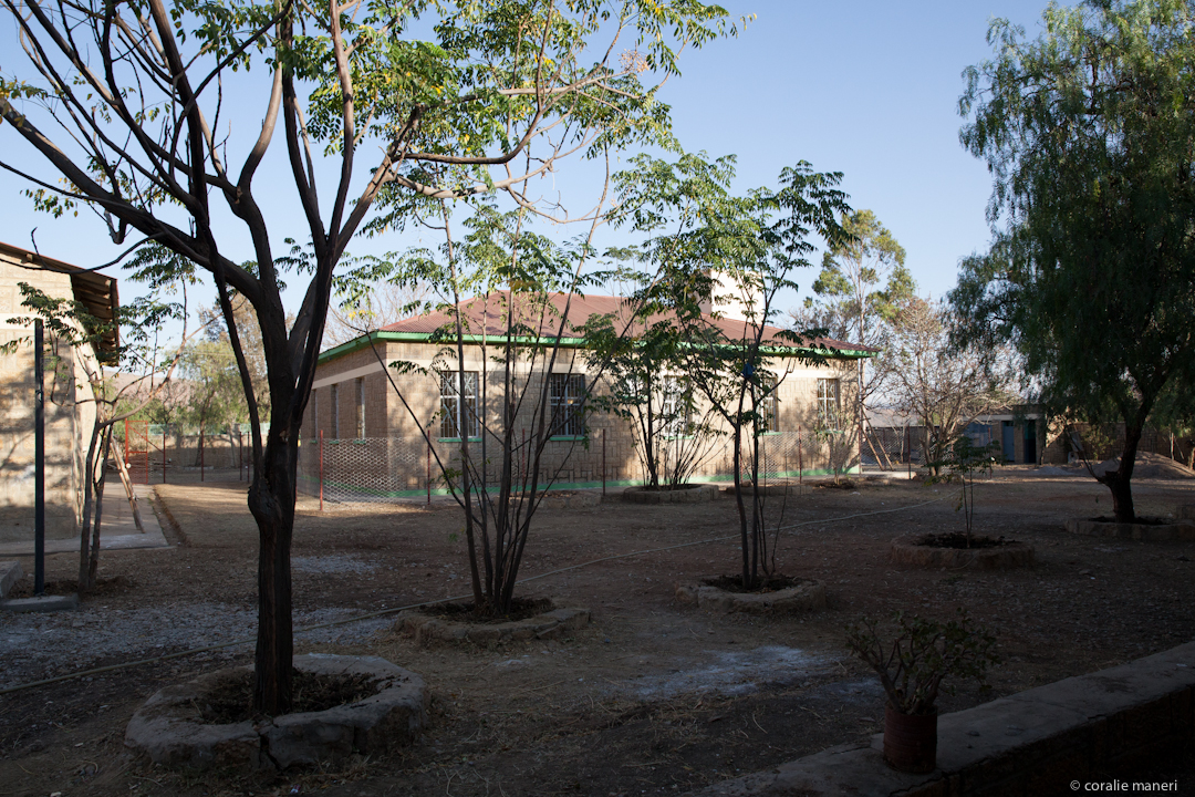 asilo-LAICHI-2