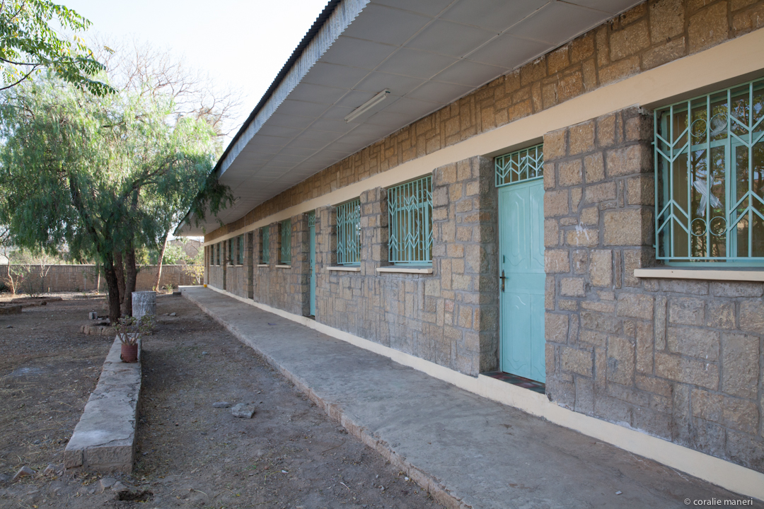 asilo-LAICHI-3
