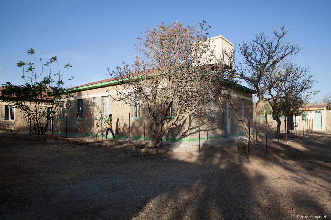 asilo-LAICHI-5