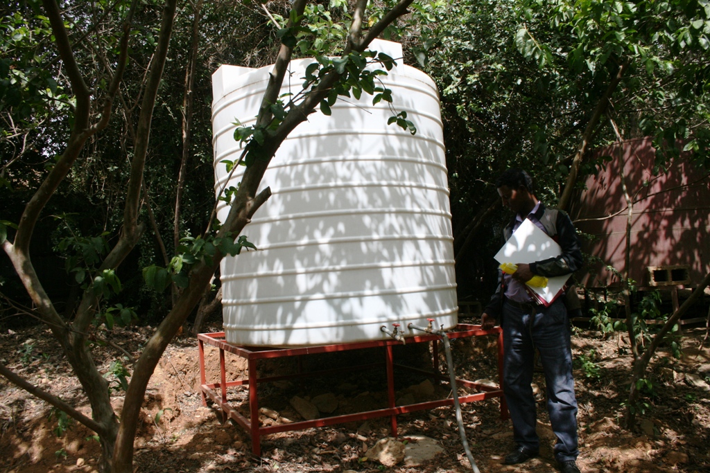 Gobezie-Goshu (6)