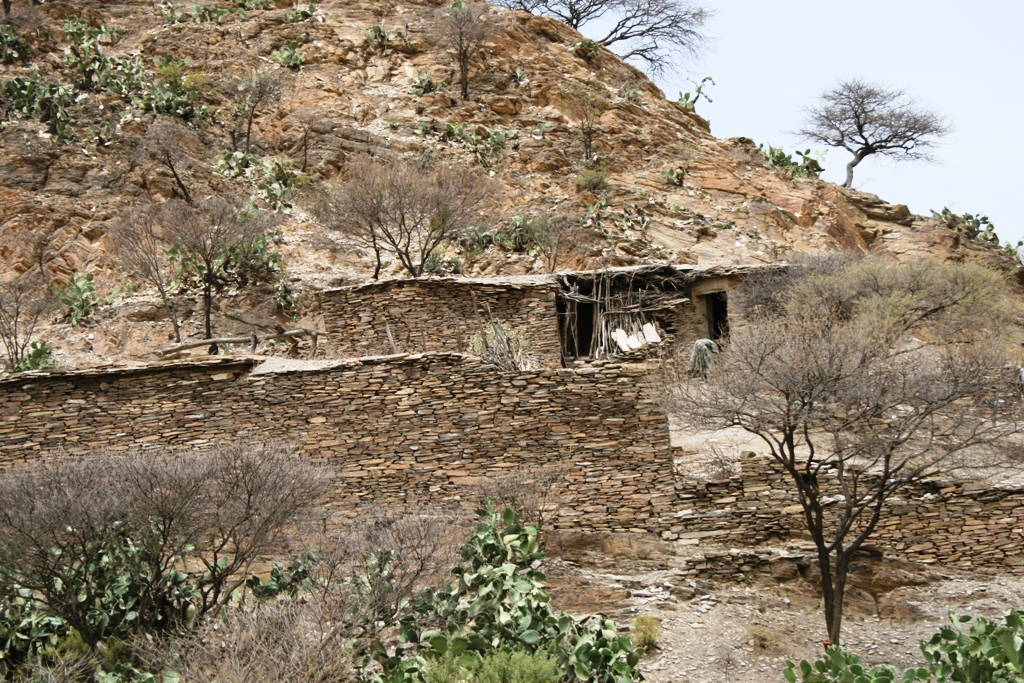 dahada-1