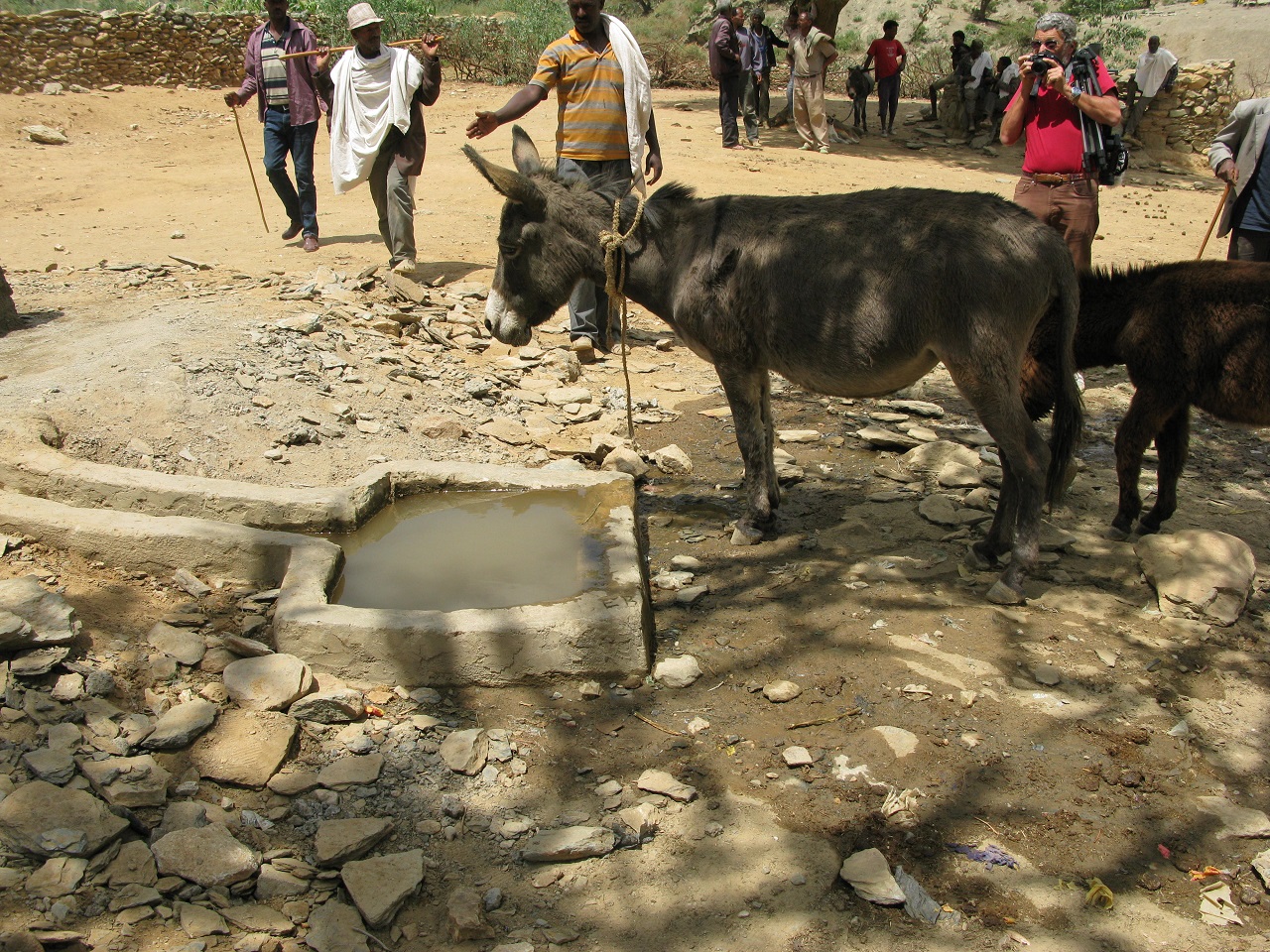 kelasa (16)