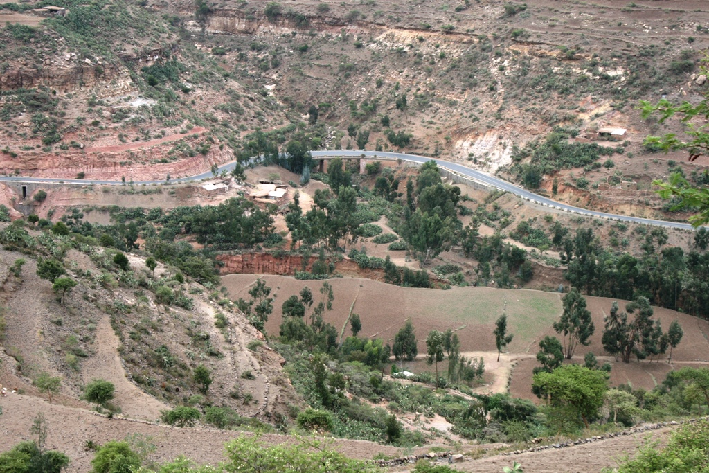 Araero1 (1)