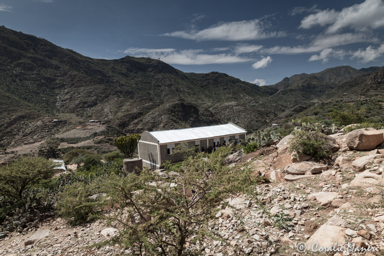 IMG_6008