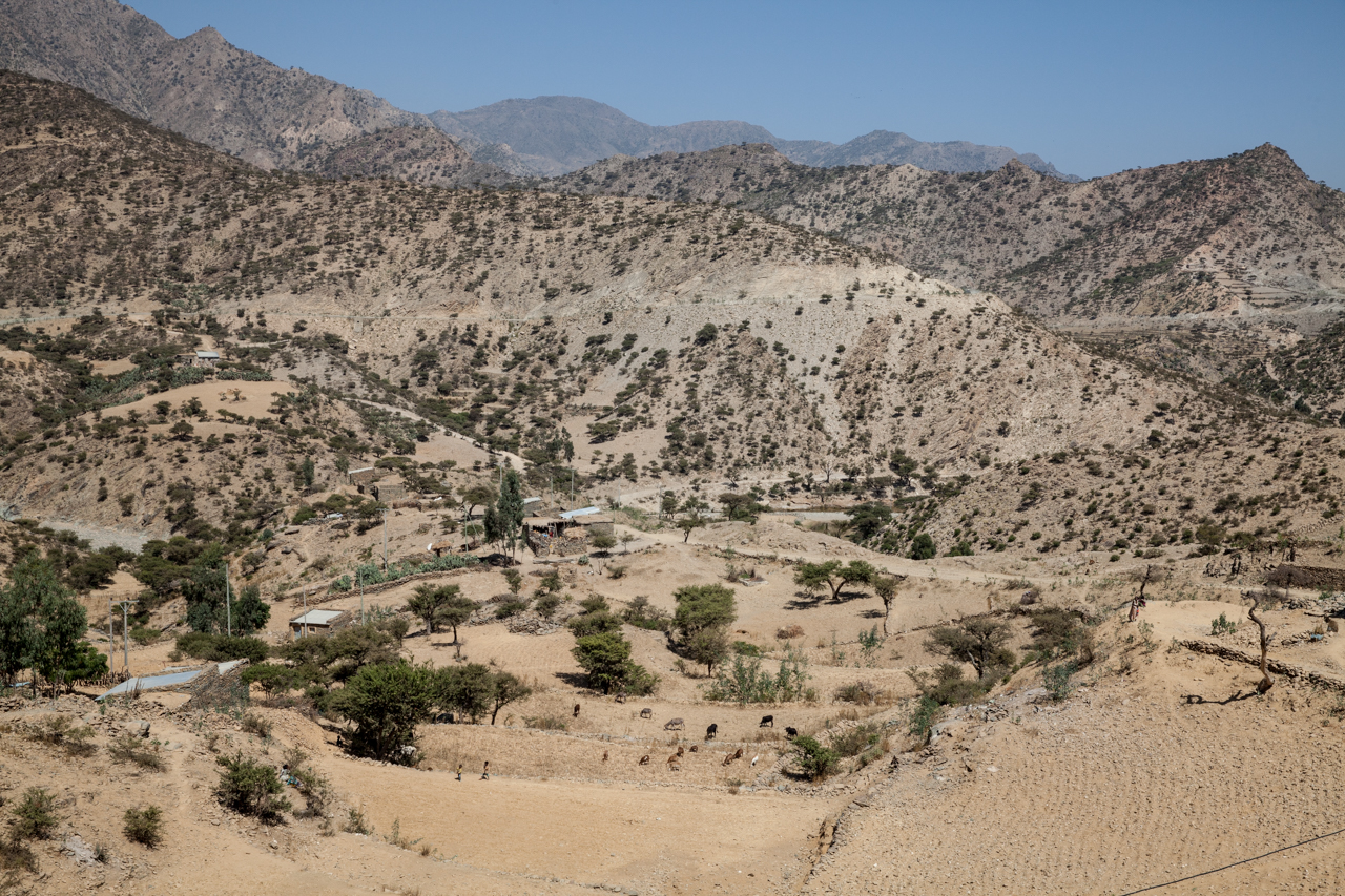 mayguhalit-5