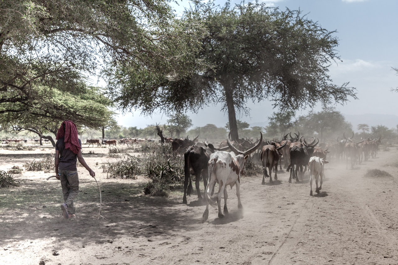 L'oro blu d'Etiopia-42