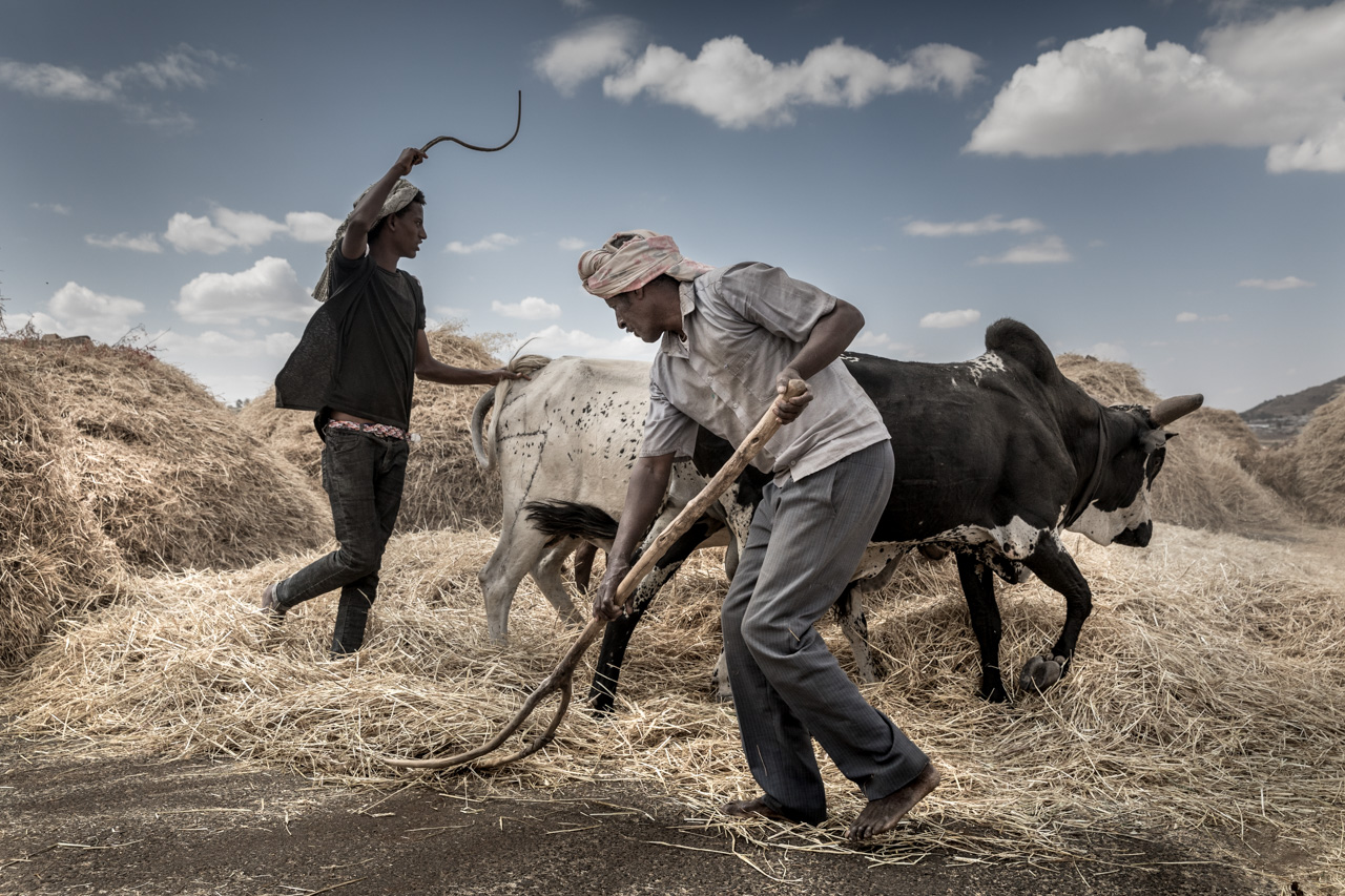 L'oro blu d'Etiopia-44