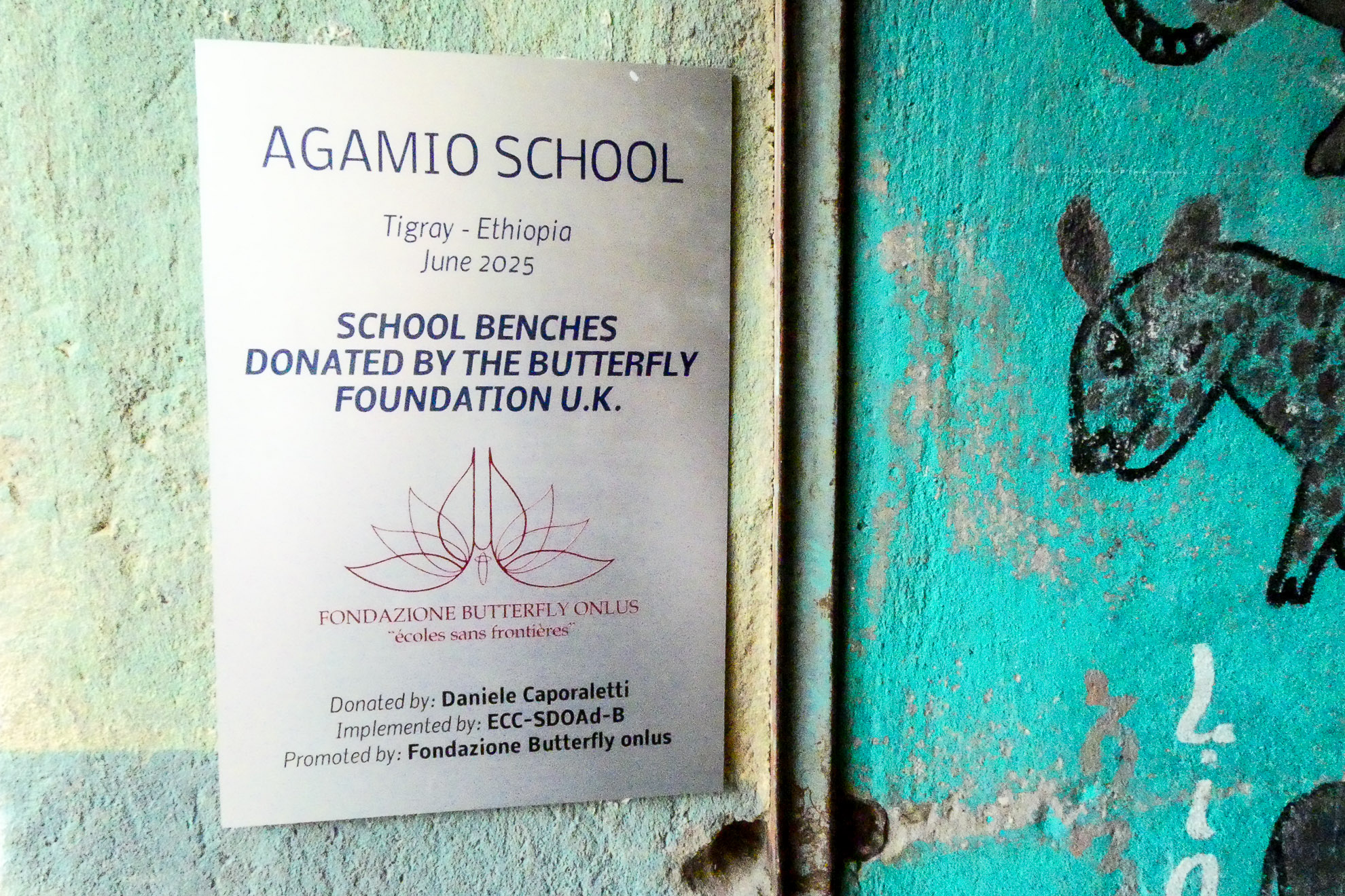 Agamio-11