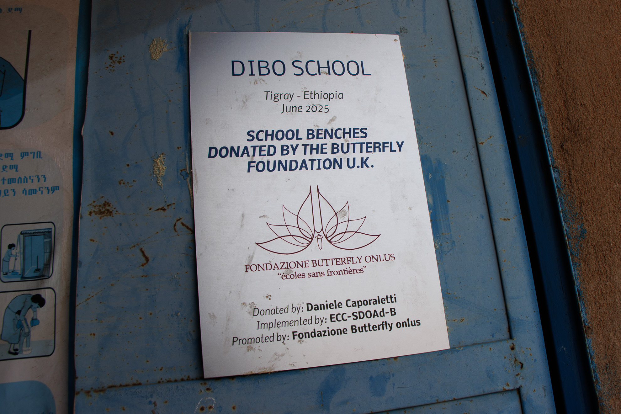 dibo-23